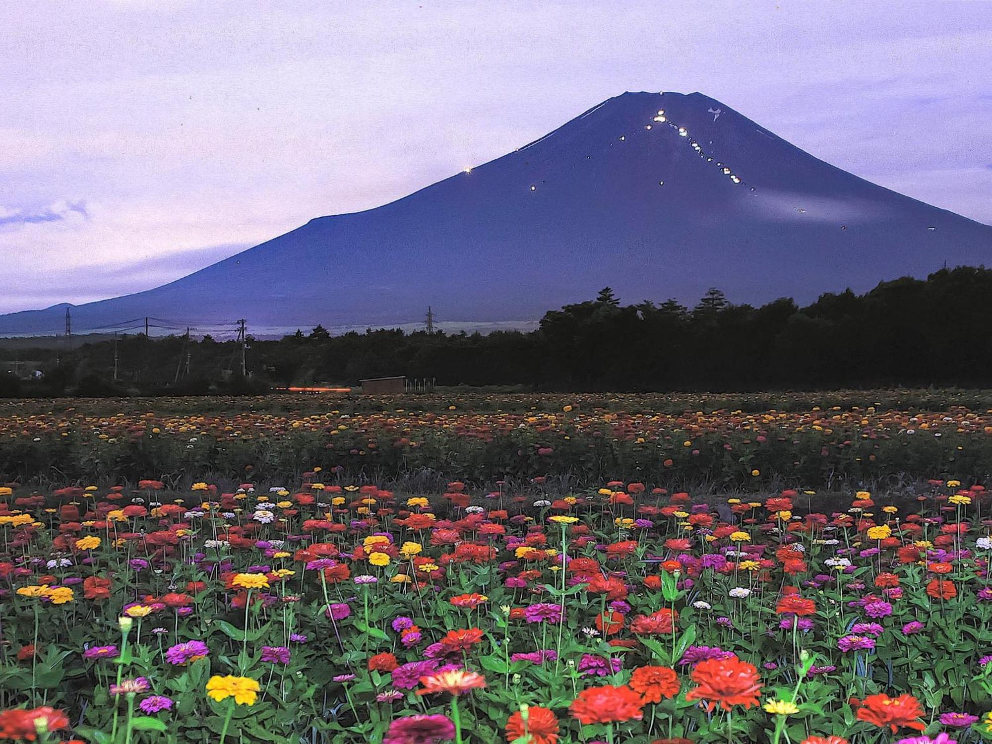 Minamitsuru-Gun - Hotel / Vacation Stay 45535 山中湖村 外观 照片
